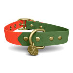 Outdoor Kollektion - Set Hundehalsband und Leine - Neonorange/Grün – Bild 5