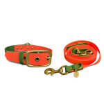 Outdoor Kollektion - Set Hundehalsband und Leine - Neonorange/Grün – Bild 2