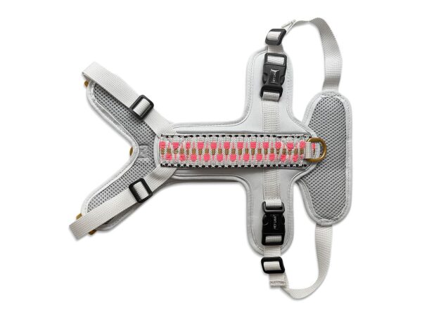 Tres Chic harness lying from the front