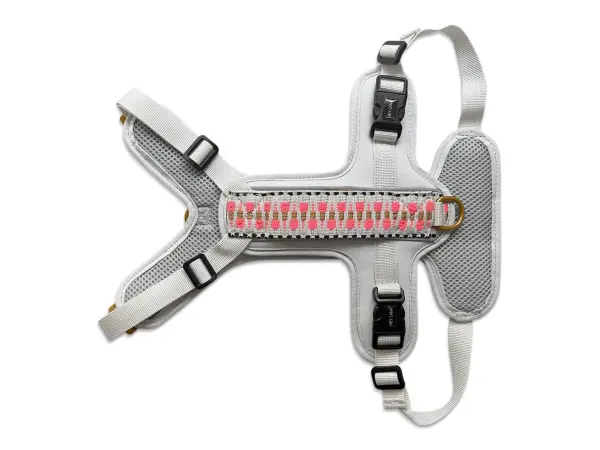 Tres Chic Geschirr liegend von vorne