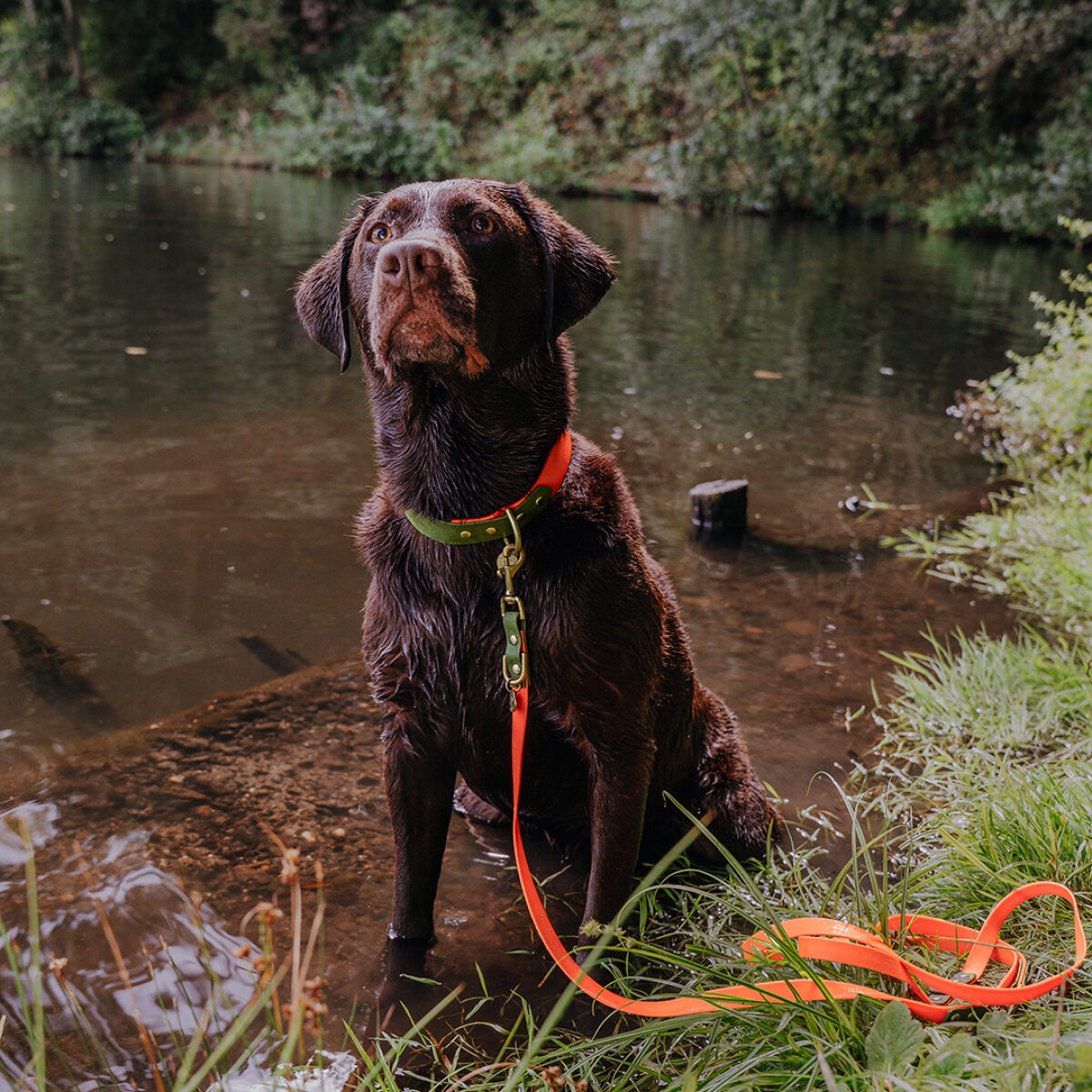Outdoor FLEX lead - 3-way adjustable - neon orange/green - Image 6