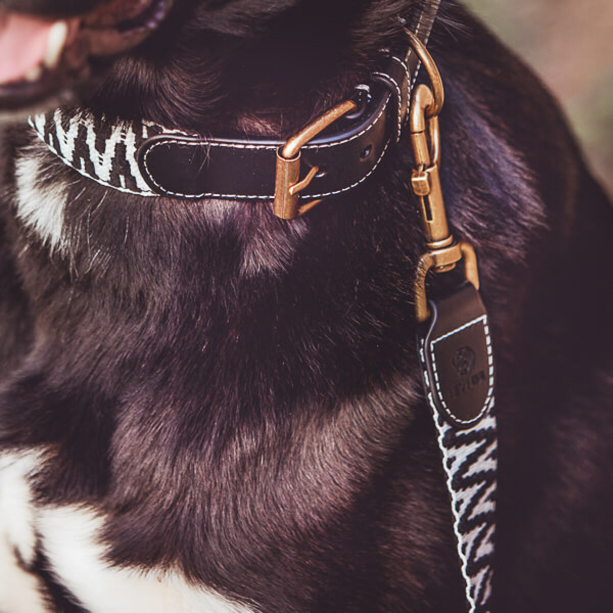 Hunde mit langer premium Hunde Führleine ist 3-fach verstellbar 1,80m in Schwarz/Weiß Detail
