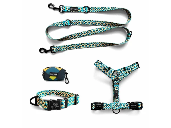 Kollektion Kunterbunt als Set Hundehalsband, Leine, Geschirr und Kotbeutelspender in Gelb/Blau