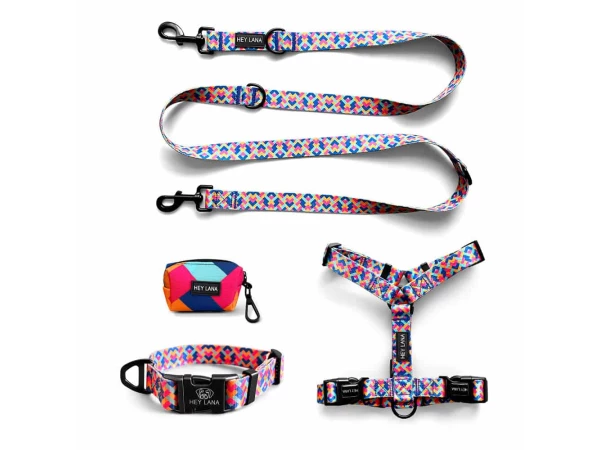 Kollektion Kunterbunt als Set Hundehalsband, Leine, Geschirr und Kotbeutelspender in Pink/Türkis