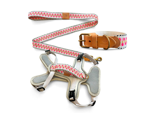Kollektion Très chic als Set Hundehalsband, Leine und Geschirr in Pink/Beige