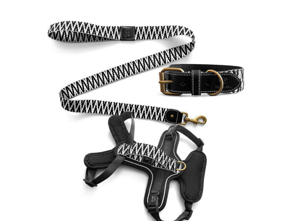 Kollektion Très chic als Set Hundehalsband, Leine und Geschirr in Schwarz/Weiß