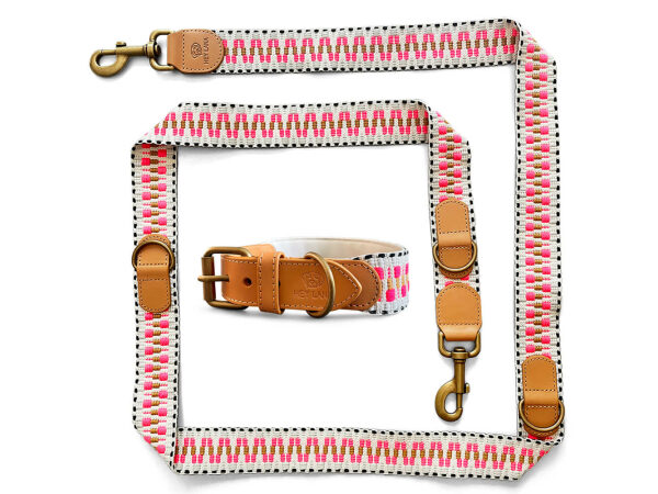 Kollektion Très chic als Set Hundehalsband und Leine in Pink/Beige
