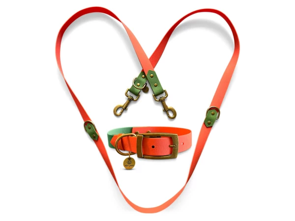 Outdoor Kollektion Set Hundehalsband und Leine in Orange/Grün