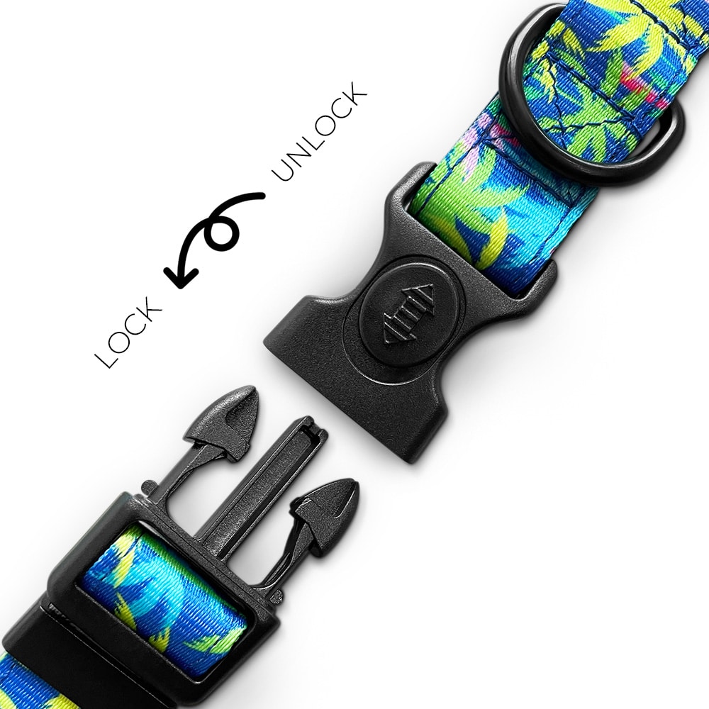 Buntes Hundehalsband Mit Blumen & Dino-Motiv - Verstellbar & Super Bequem Für Deinen Vierbeiner