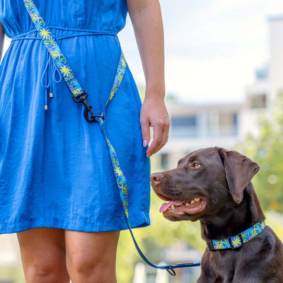 Hund mit Multifunktionsleine und Halsband Kunterbunt Palm Beach 200cm