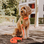 Führleine Outdoor FLEX - 3-fach verstellbar - Neon-Orange/Grün