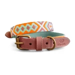 Premium padded dog collar in mint/orange