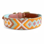 Premium padded dog collar in mint/orange at the back