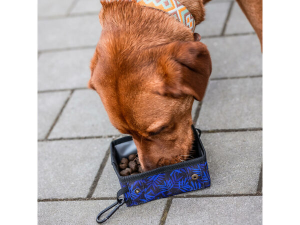 PfotenPicknick portabler Hunde Trink- und Fressnapf Hund frisst