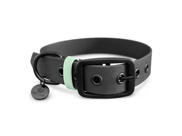 Dog collar Biothane Outdoor SPORT is waterproof in black/mint