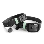 Hundehalsbänder Biothane Outdoor SPORT ist Wasserfest in Schwarz/Mint