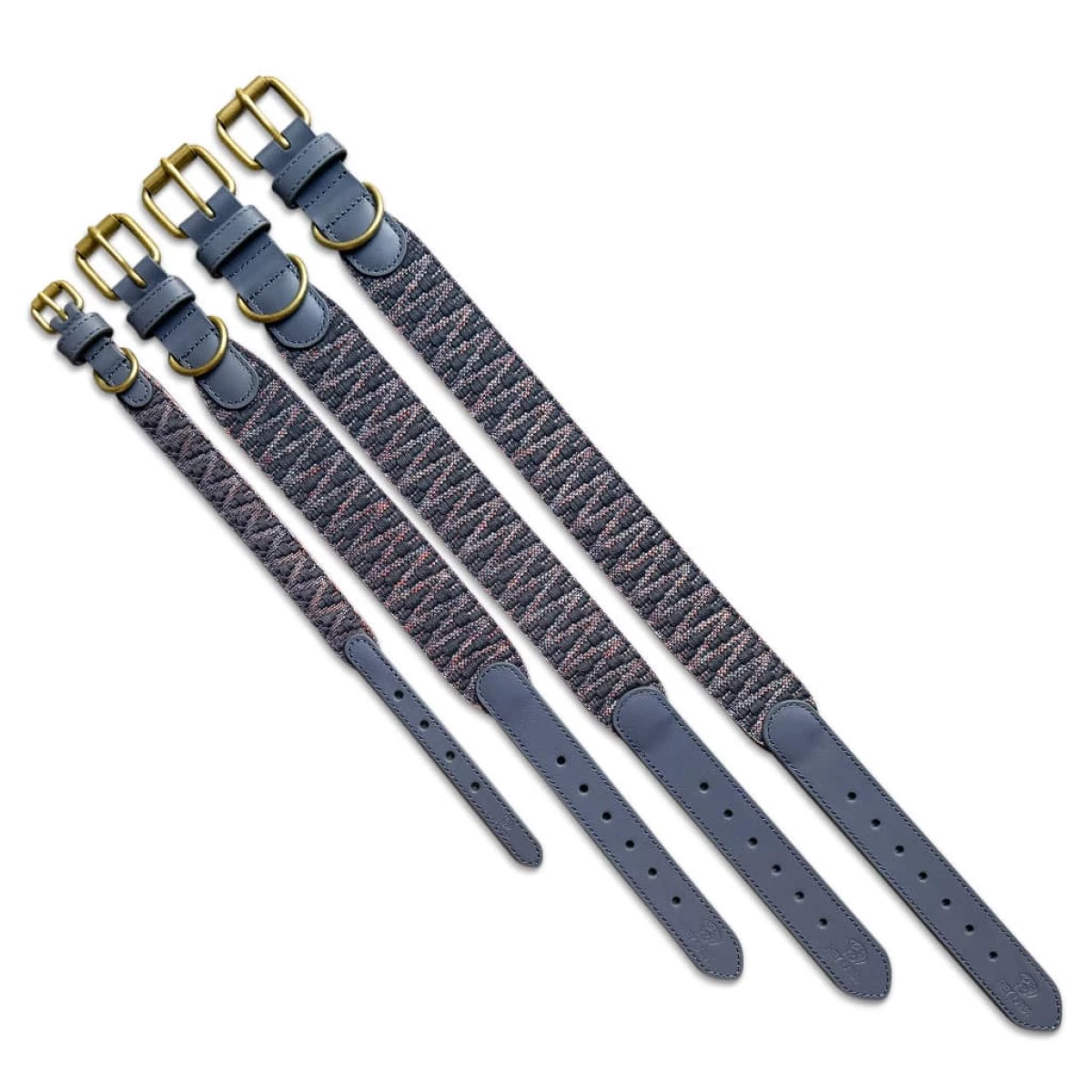 Alles 4 Größen der Premium Halsbänder in Blau Grau nebeneinander liegend