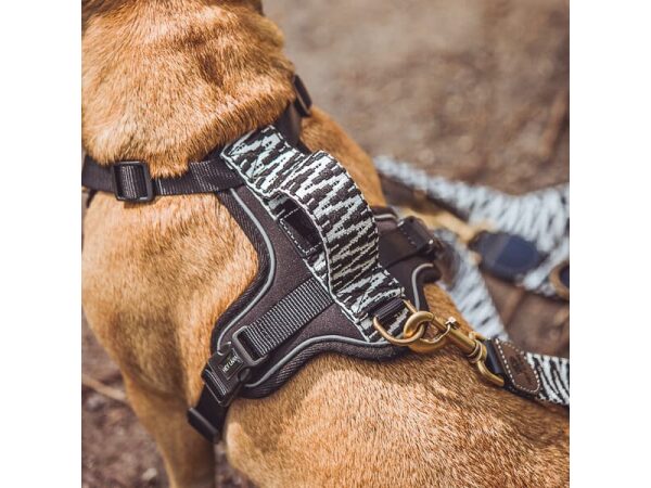 Hund mit Premium Hundegeschirr Gepolstert in Schwarz/Weiß hinten