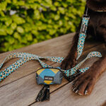 Kotbeutelspender mit Kunterbunt Hundeleine in Gelb/Blau für Hunde