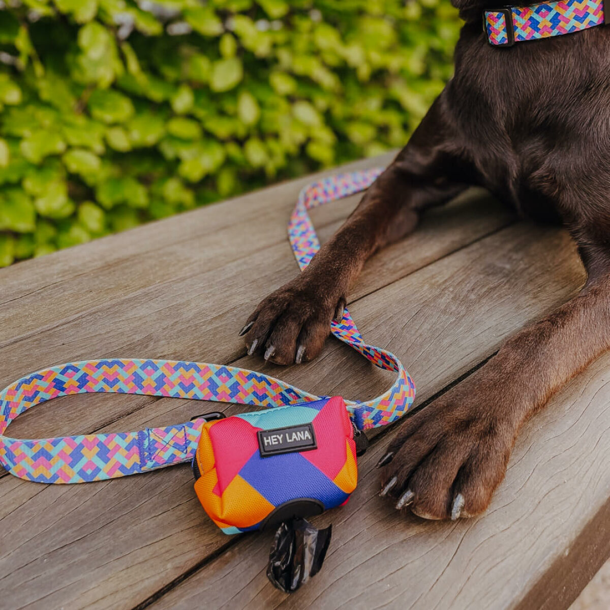 Kotbeutelspender mit Kunterbunt Hundeleine in Pink/Türkis für Hunde