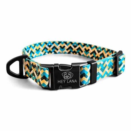 Kunterbunt dog collar in yellow/blue