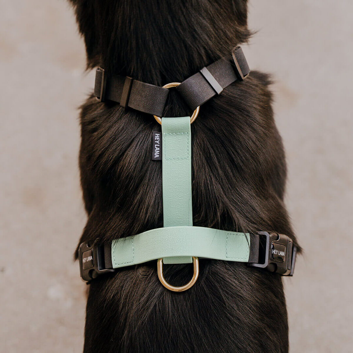 Hunde Führgeschirr Outdoor FLEX ist 5-fach verstellbar mit Haltegriff hinten in Schwarz/Mint