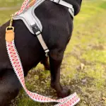 Hund mit kurzer Hundeleine Tres Chic 1,20m in Pink/Beige