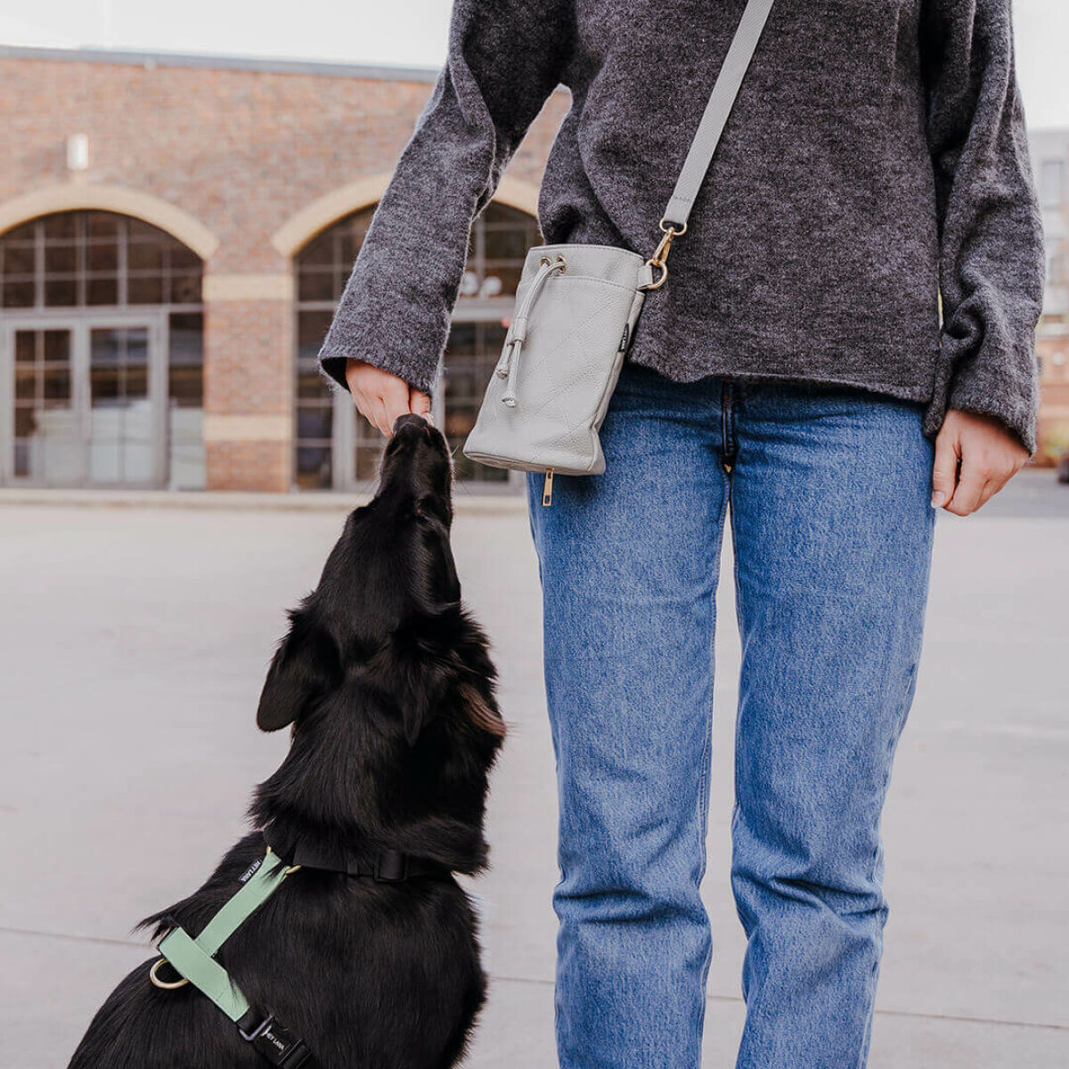Premium Leckerlibeutel mit Hund – All in One in Grau
