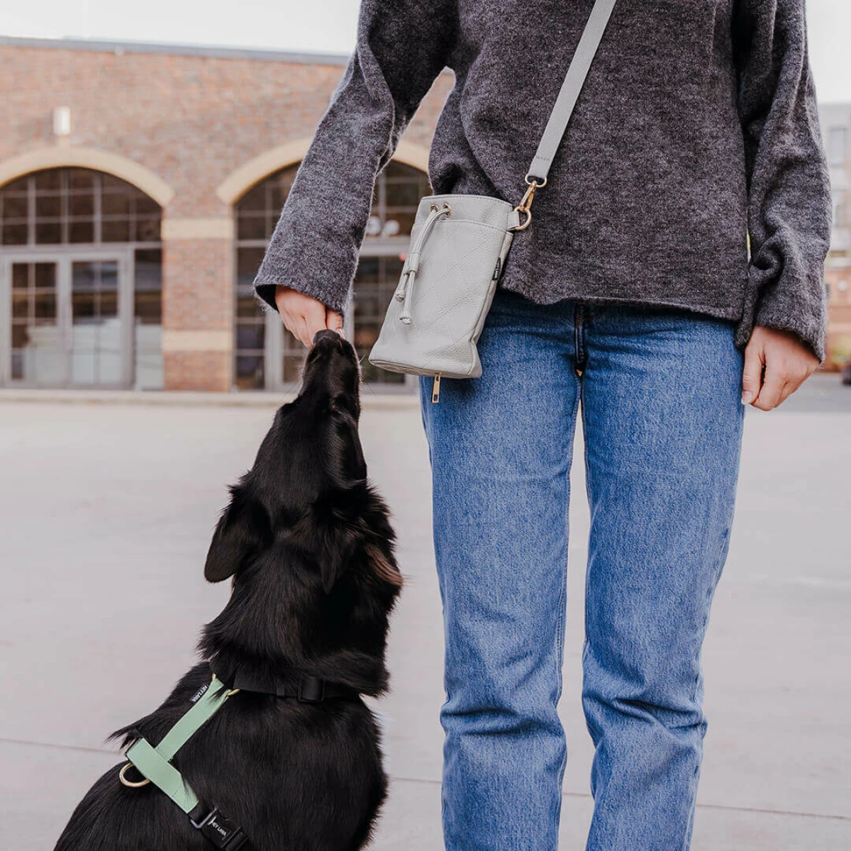 Premium Leckerlibeutel mit Hund – All in One in Grau