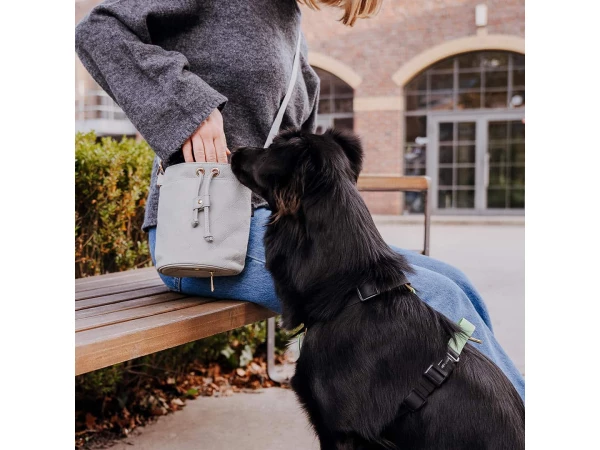 Dogs with premium treat bag - All in One in gray
