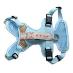 Premium Hundegeschirr Gepolstert - Coral/Blau – Bild 10