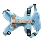 Premium Hundegeschirr Gepolstert - Coral/Blau – Bild 10