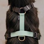 Lead harness - Outdoor FLEX - 5-way adjustable with handle - Black/Mint