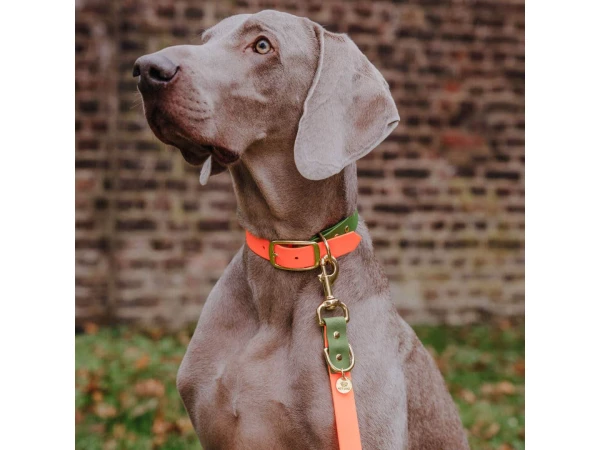 Outdoor FLEX lead, collar - neon orange/green Detail
