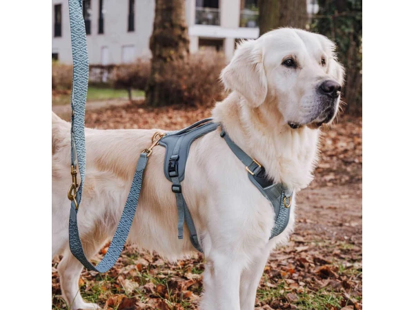 Hey Lana Premium Hundegeschirr Gepolstert - Anthrazit/Eisblau