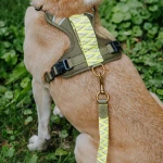 Premium padded dog harness - olive green/neon yellow - Image 7