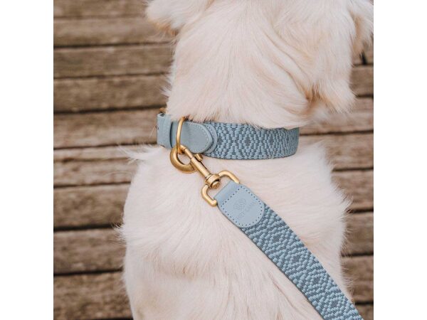 Premium lead - 3-way adjustable - 2m, collar - anthracite/blue