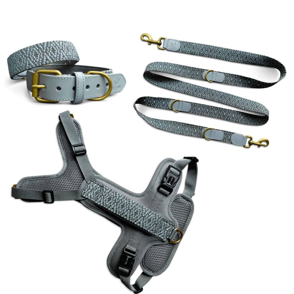 Newtensina 3-teiliges Hundehalsband- & Leinen-Set – 2 Halsbänder & 1 Leine Aus PU-Leder/Leder, Mit Nieten, Für Kleine Bis Mittlere Hunde