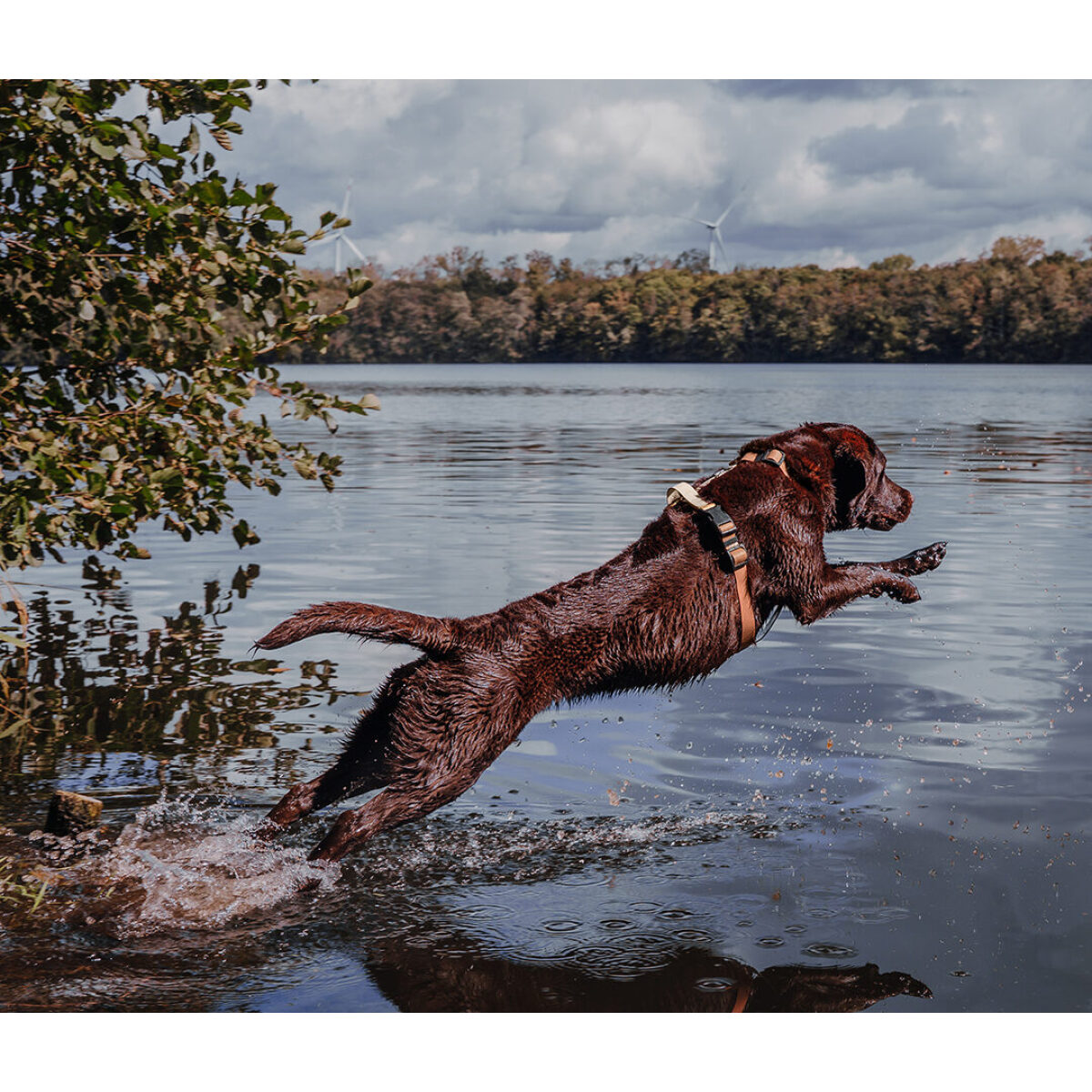 Führgeschirr - Outdoor FLEX - 5-fach verstellbar mit Haltegriff - Mocca/Mousse – Bild 8