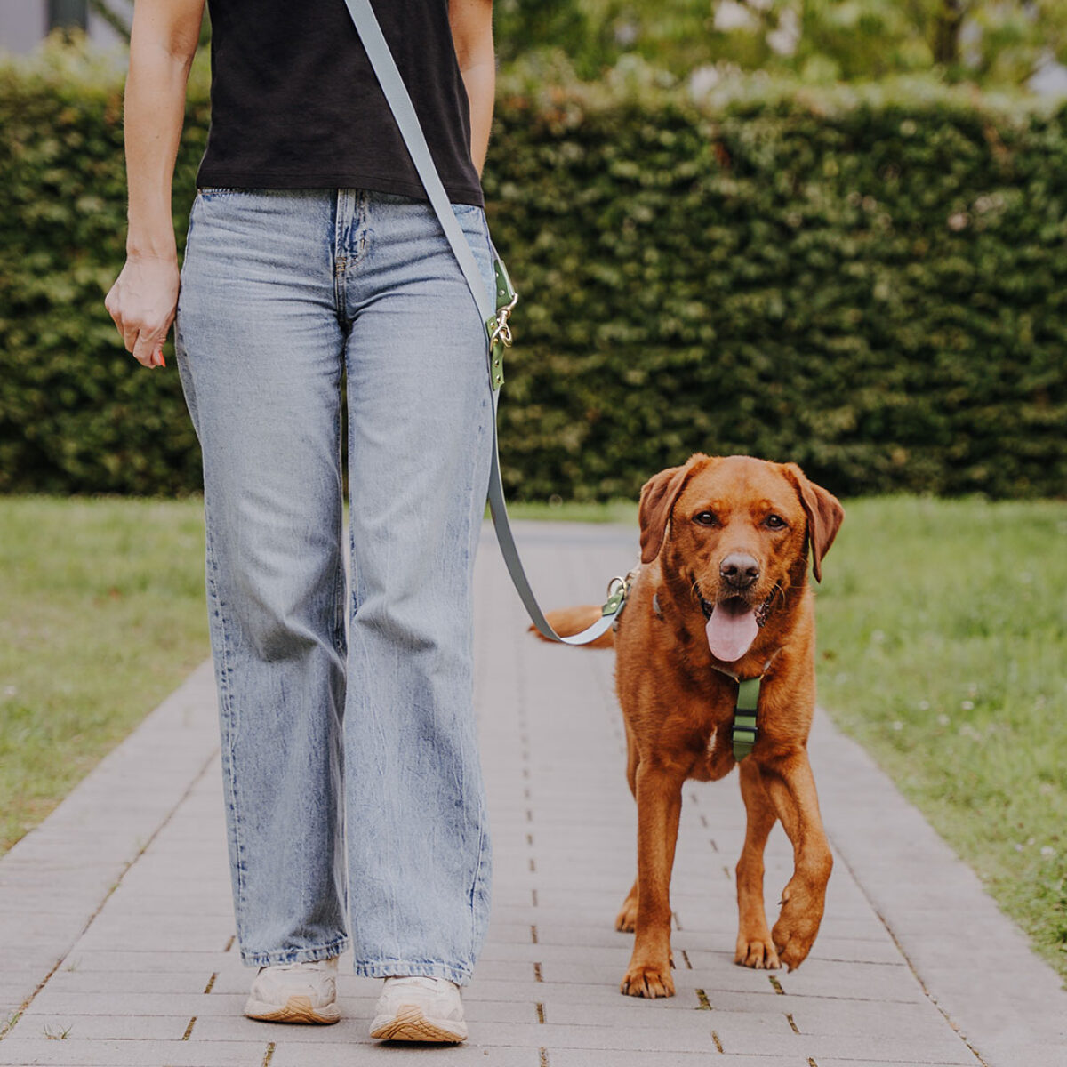 Lead harness - Outdoor FLEX - 5-way adjustable with handle - gray/green - Image 9