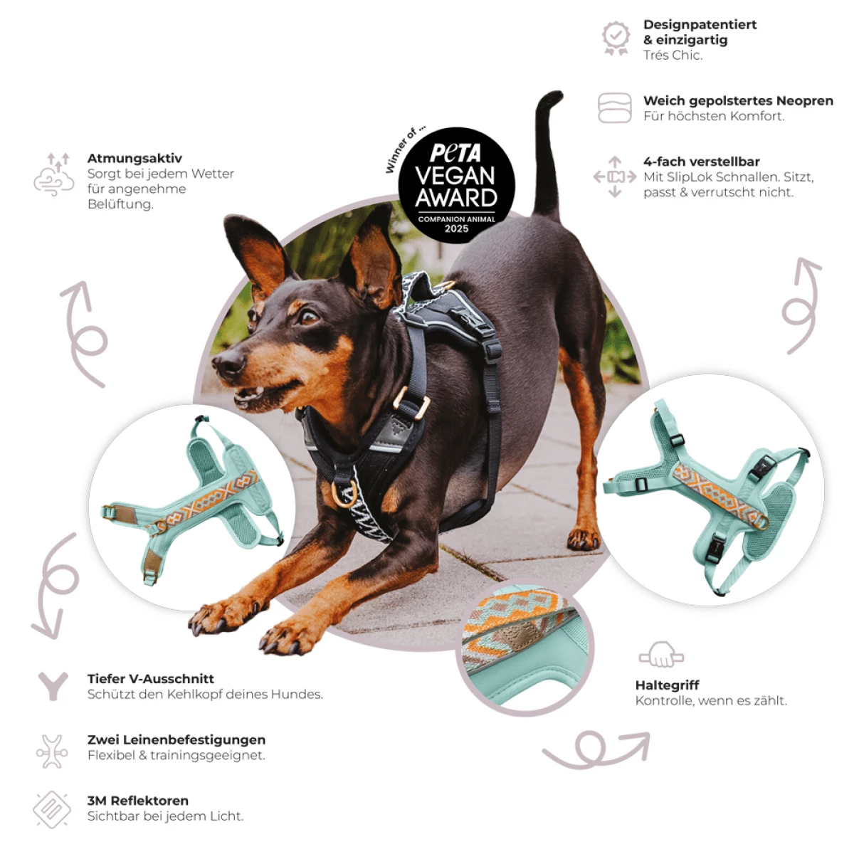 Tres Chic Geschirr erklärt mit Funktionen