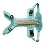 Tres Chic Geschirr von vorne mint orange