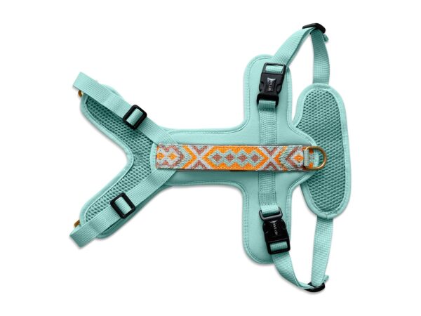 Tres Chic harness from the front mint orange