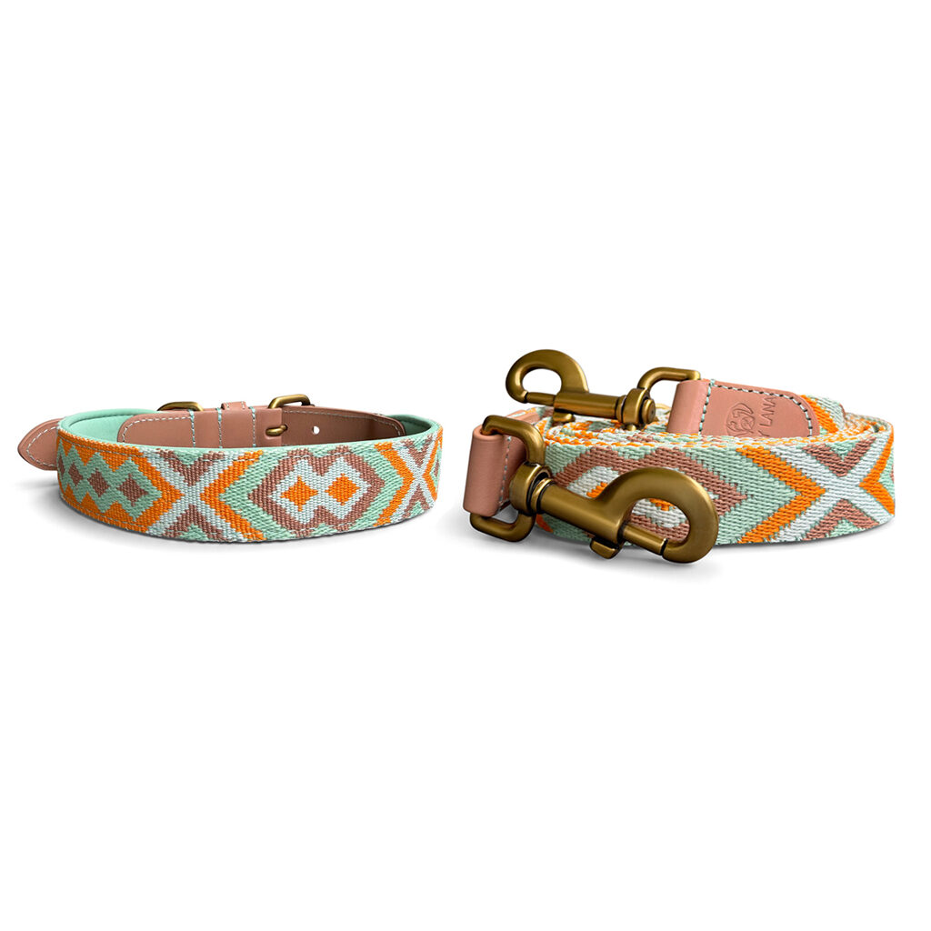 Tres Chic Set: Leash and Collar - Mint and Orange Très chic collection - Dog collar and lead set - Mint/Orange - Image 1
