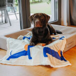 The Cozy Pup - Dog blanket