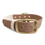 Hundehalsband Outdoor FLEX - Wasserfest - Mocca/Mousse – Bild 2