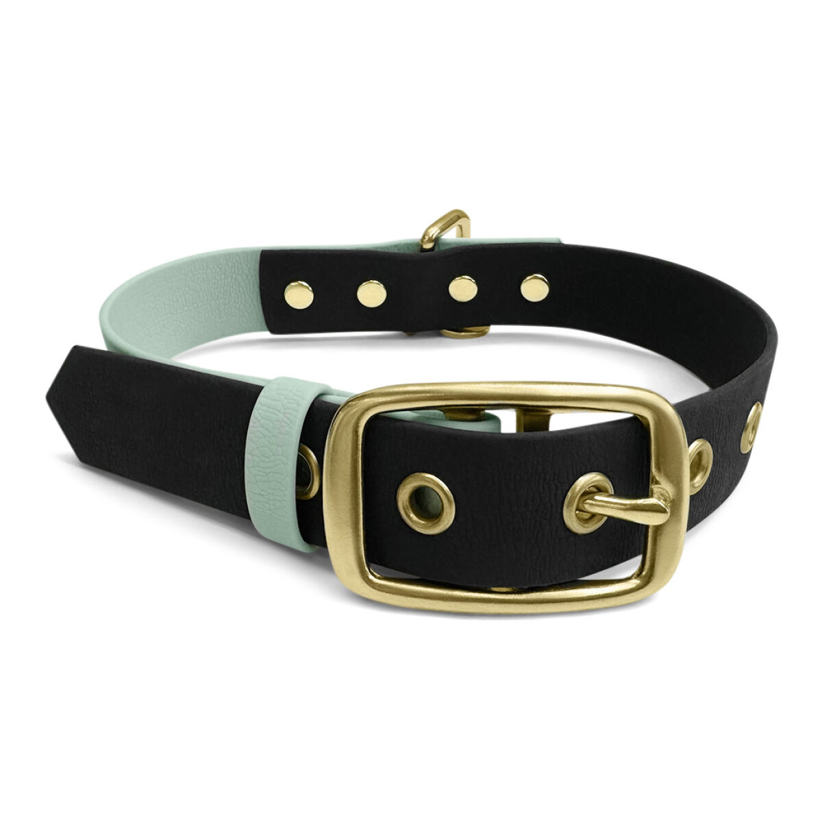 Outdoor-Halsband-schwarz-mint-vorne Hundehalsband Outdoor FLEX - Wasserfest - Schwarz/Mint – Bild 2