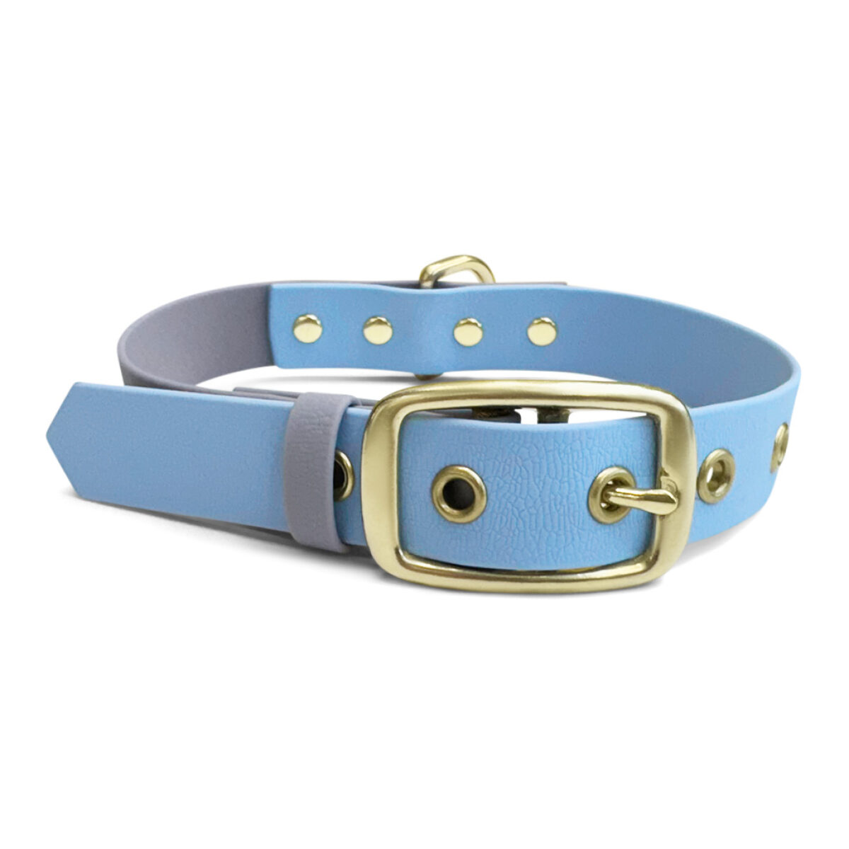 Outdoor-Halsband-taupe-blau-vorne Dog collar Outdoor FLEX - Waterproof - Taupe/Blue - Image 2