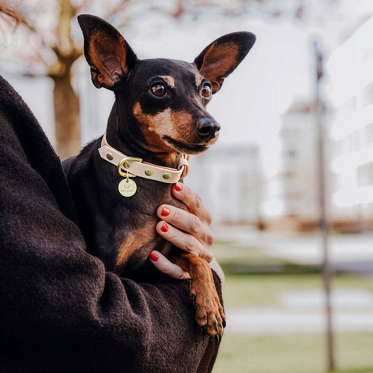 Dog collar Outdoor FLEX - Waterproof - Mocca/Mousse - Image 3