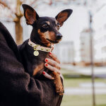 Dog collar Outdoor FLEX - Waterproof - Mocca/Mousse - Image 3